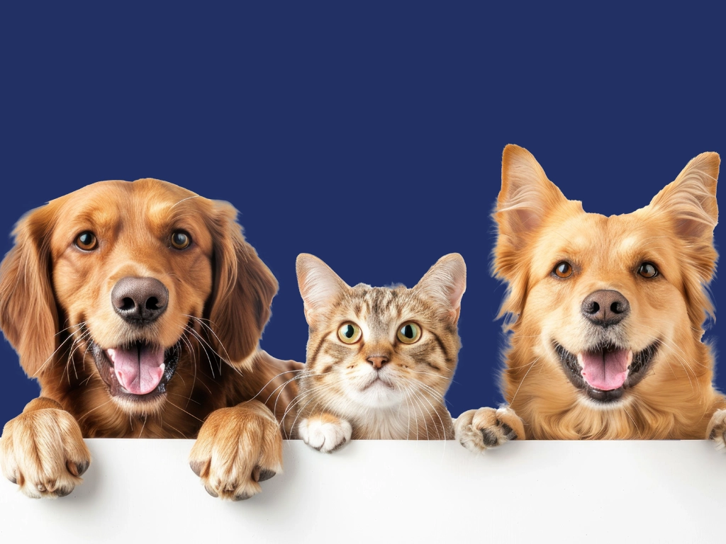 two smiling dogs and a cat peeking over a white board