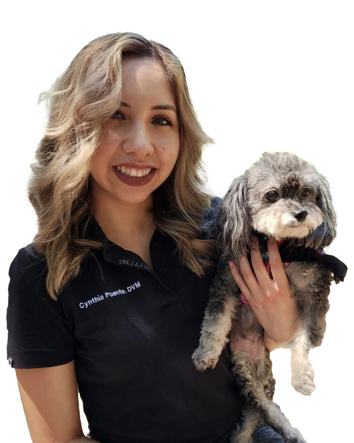 cynthia puente dvm petlife urgent care